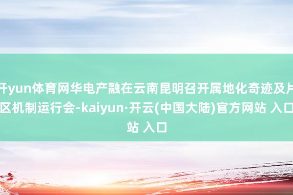 开yun体育网华电产融在云南昆明召开属地化奇迹及片区机制运行会-kaiyun·开云(中国大陆)官方网站 入口